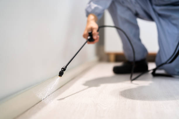 Licensed Pest Control service in North Royalton, OH - Show Me Pest Control