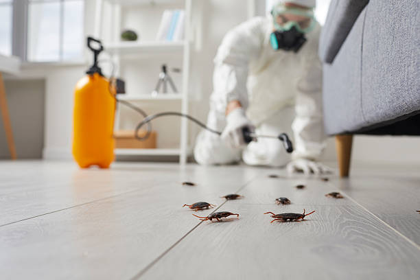 Commercial Kitchen Cockroach Control in North Royalton